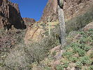 photo thumbnail #3