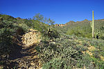 photo thumbnail #3