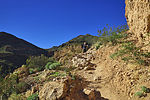 photo thumbnail #7