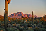 photo thumbnail #11