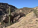 photo thumbnail #5