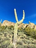 photo thumbnail #1