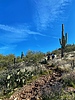 photo thumbnail #12