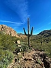 photo thumbnail #13