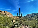 photo thumbnail #15