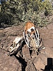 photo thumbnail #9
