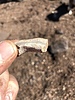 photo thumbnail #13