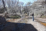 photo thumbnail #2