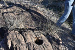 photo thumbnail #13