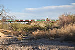 photo thumbnail #14