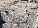 photo thumbnail #12