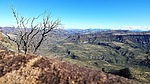 Featured Full Photo