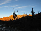 photo thumbnail #4