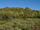 photo thumbnail #8