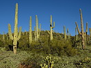 photo thumbnail #9