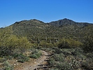 photo thumbnail #6