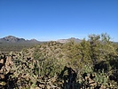 photo thumbnail #1