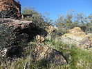 photo thumbnail #2