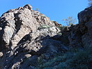 photo thumbnail #5
