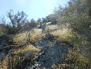 photo thumbnail #11