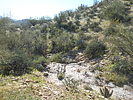 photo thumbnail #13