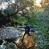 photo thumbnail #4