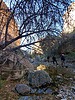 photo thumbnail #13