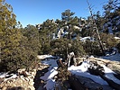 photo thumbnail #2