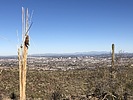 photo thumbnail #4