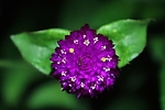photo thumbnail #9