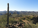 photo thumbnail #15