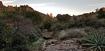 photo thumbnail #1