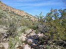 photo thumbnail #1