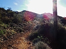 photo thumbnail #11