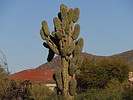 photo thumbnail #5