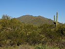 photo thumbnail #9