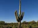 photo thumbnail #12
