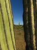 photo thumbnail #14