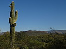 photo thumbnail #15