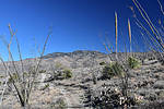 photo thumbnail #6