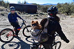 photo thumbnail #9