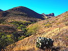 photo thumbnail #6