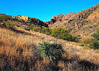 photo thumbnail #9
