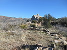 photo thumbnail #8