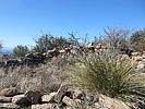 photo thumbnail #9