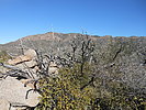 photo thumbnail #11
