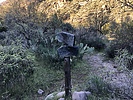 photo thumbnail #4