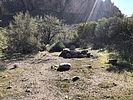 photo thumbnail #8