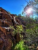 photo thumbnail #14
