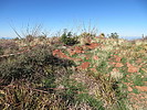 photo thumbnail #8